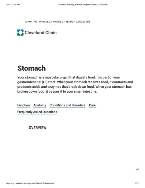 SOLUTION: Stomach anatomy function diagram parts of structure columbia southern university ...