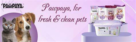 Pawpaya Eye Wipes Made for All Cats and Dogs Safe for Daily use ...