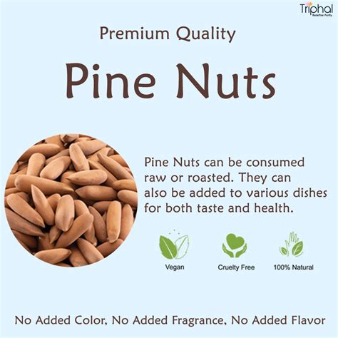 Pine Nuts - Chilgoza | With Shell | Premium Grade | Triphal