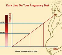 Image result for Dark Line on Pregnancy Test