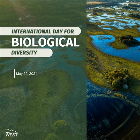 Celebrating International Day for Biological Diversity - Western ...