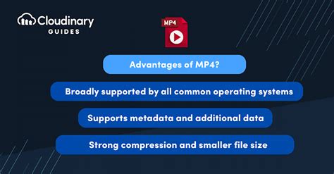 Image result for MP4 Video Format