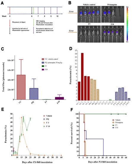 Preliminary Assessment of Intramuscular Depot of Lipid-Based ...