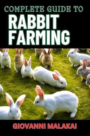 COMPLETE GUIDE TO RABBIT FARMING: Expert Tips For Sustainable Breeding ...