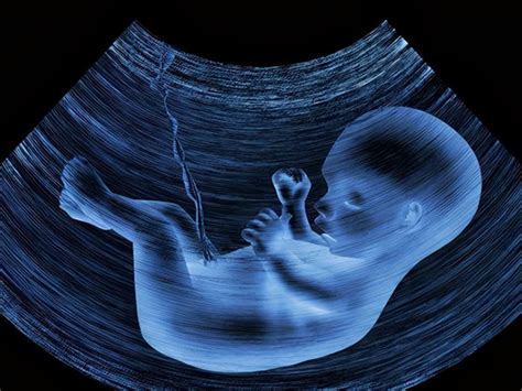 胎儿偏小医生说要加强营养，孕妈妈该怎么调整？