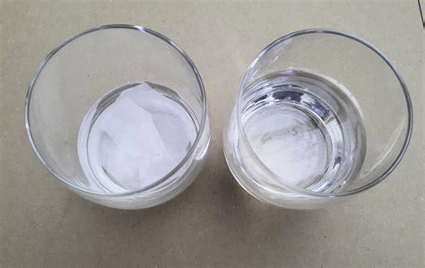 Image result for Stool Sample