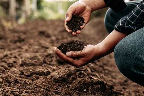 Conservation agriculture for a healthy climate & healthier soil! | AgriBazaar