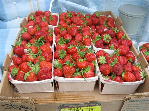 Cups In A Quart Of Strawberries at Craig Alston blog