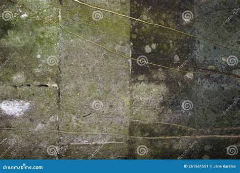 Old Golden Color Concrete Wall with Black Mold Stock Image - Image of ...