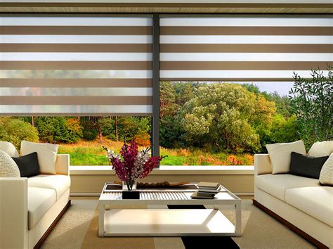 Image result for Zebra Perde Modelleri