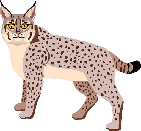 Free Clipart Bobcat