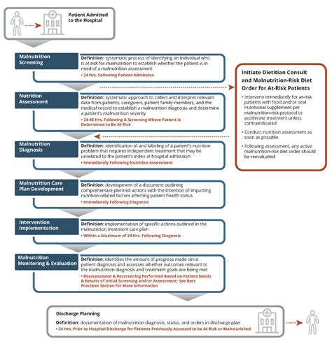 Nutrition Care Process Model Diagram