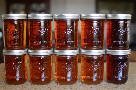 Image result for Homemade Maple Syrup Taps