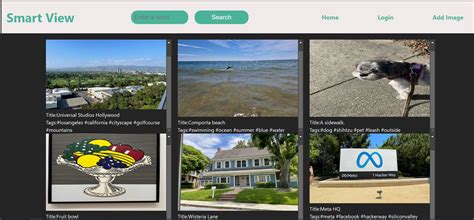 SmartView Software 的图像结果