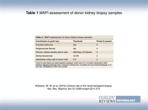MAPI Testing 的图像结果