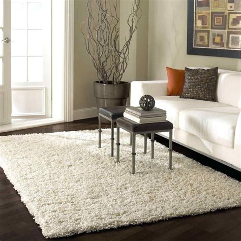 Best Area Rugs For Hardwood Floors - Flooring Designs