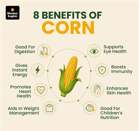 Corn Healthy Recipes; American Corn Vs Desi Bhutta Benefits ...