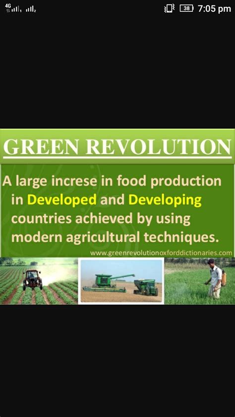 What is green Revolution?please give me answer in a short paragraph ...