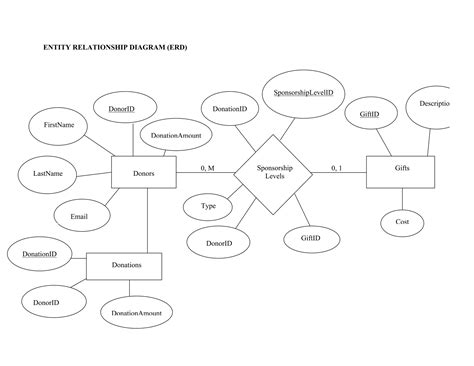 SQL Server Project 的图像结果