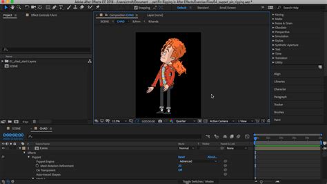 Image result for After Effects Puppet Pin Tool Tutorial