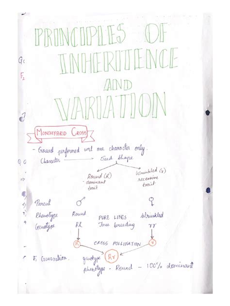 Image result for Biology Principles of Inheritance