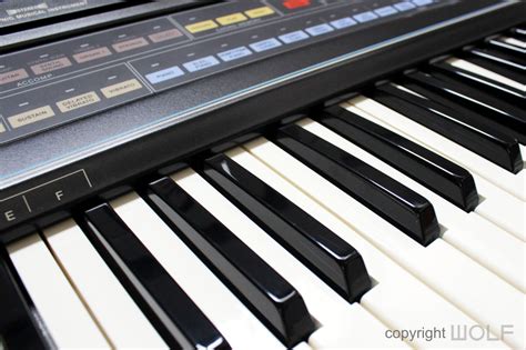 Image result for Casio 6000 Keyboard