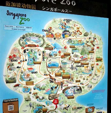 Singapore Zoo Map 2022