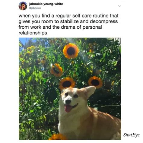 Self Care Memes: A Fun Way to Prioritize Well-Being - ShutEye