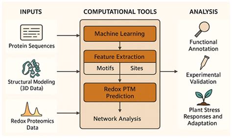 Integrating Redox Proteomics and Computational Modeling to Decipher ...