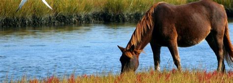 Draucker Funeral Home | Ogallala NE funeral home and cremation