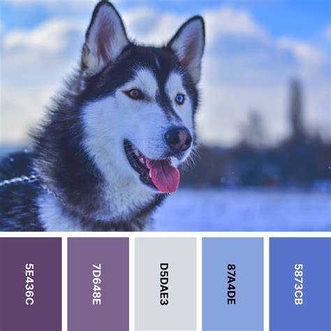 30 Cool Color Palettes for Calming Designs | Color Meanings