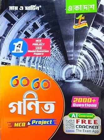 Ray & Martin Class 11 60/60 Ganit MCQ & Project 2000+ Questions ...