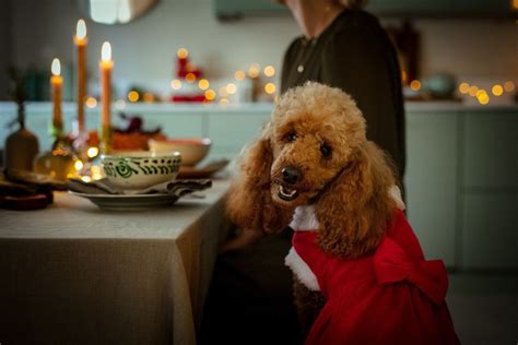 «Julebord» for alle våre venner , Gudbrandsdalsvegen 188, Lillehammer ...