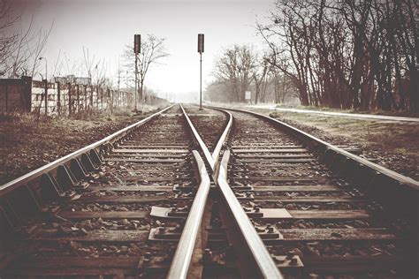 Image result for WildFly Vs. Spring Boot