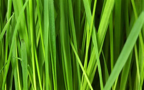 Image result for Spring Boot Cassandra