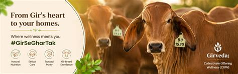 Girveda | Natural Food and Ayurvedic Products | From the Land of Gir