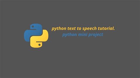 Python Program with Pyttsx3 的图像结果