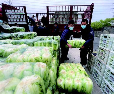 阜阳捐赠五百余吨农产品驰援松江--松江报