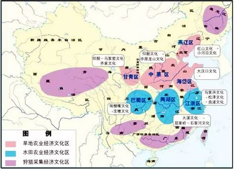 为什么说减数分裂是特殊的有丝分裂？ - 知乎