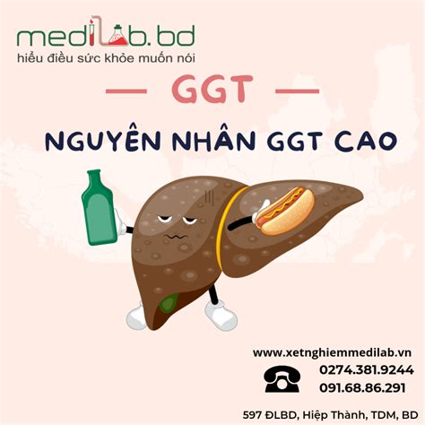 NGUYÊN NHÂN KHIẾN GGT TĂNG CAO - MEDILAB