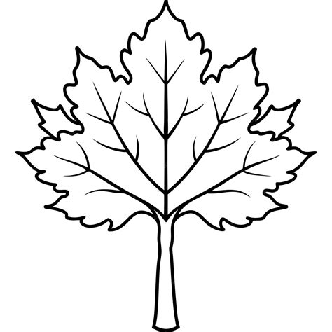 Image result for Maple Tree Line Drawing