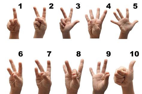 Phone ASL Sign 的图像结果