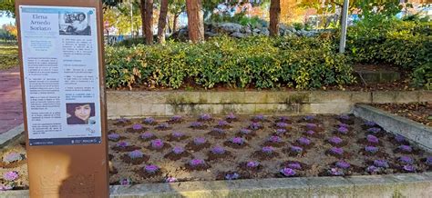 Espacio de Igualdad Elena Arnedo Soriano