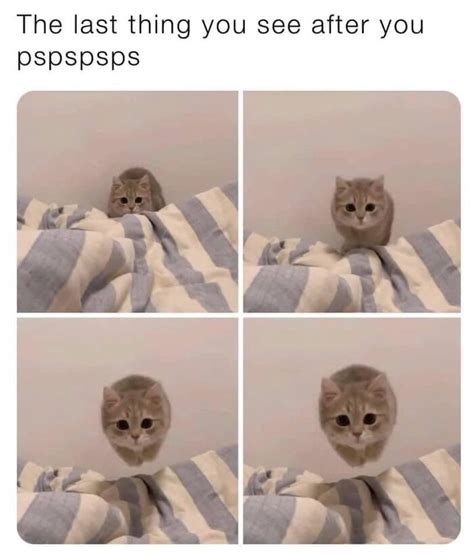 Image result for Writing Program Code On Paper Meme