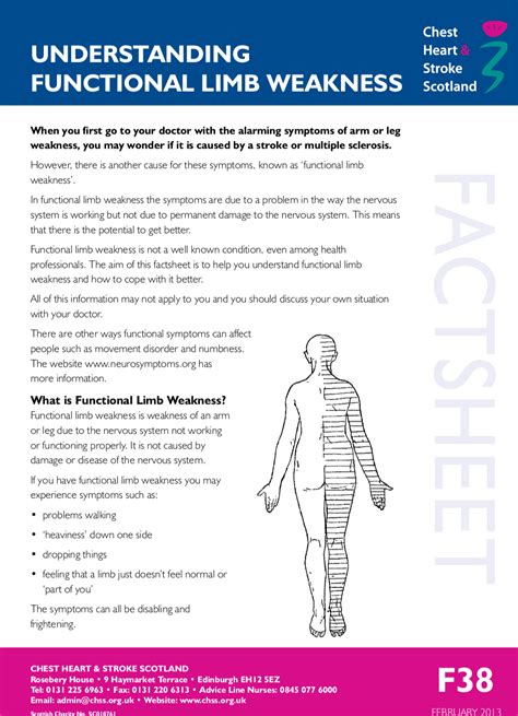 Muscle Weakness In Legs