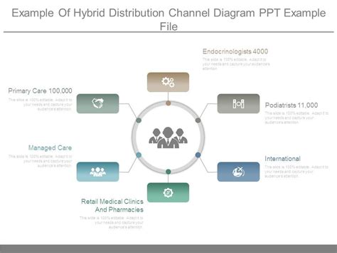 Distribution Channel Structure 的图像结果