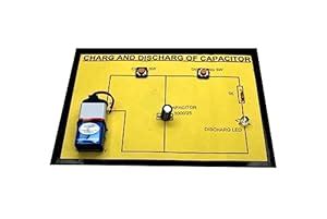 Buy GeneScribe Charging and Discharging of Capacitor Physics Working ...