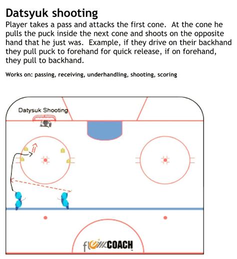 Image result for Datsyuk Flip