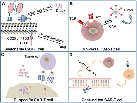 Mouse Cart Cell Image 的图像结果