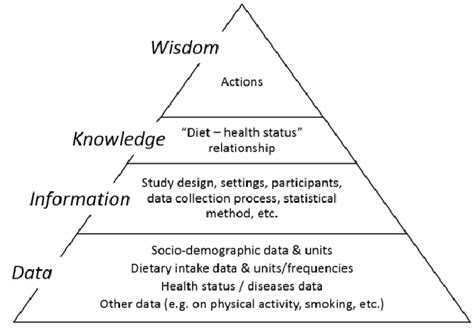 Image result for Dikw Pyramid Example Situation